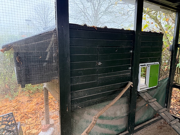 Product image 1 of 7