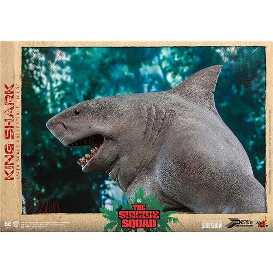 Product image 13 of 15