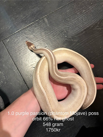 Product image 3 of 9