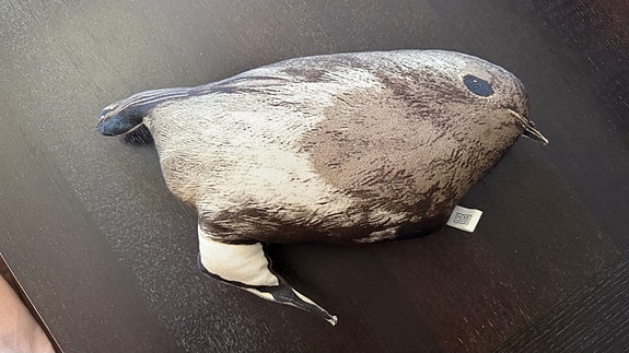 Product image 1 of 10