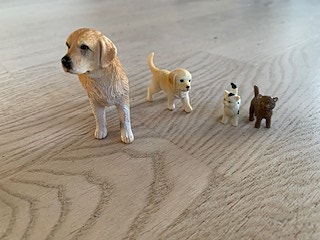 Product image 15 of 18