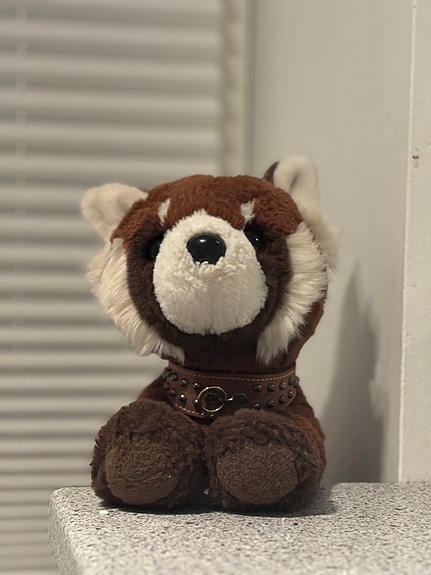 Product image 13 of 20