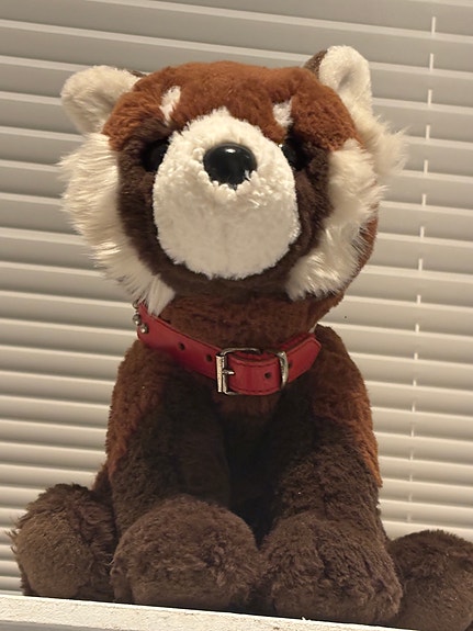 Product image 15 of 20