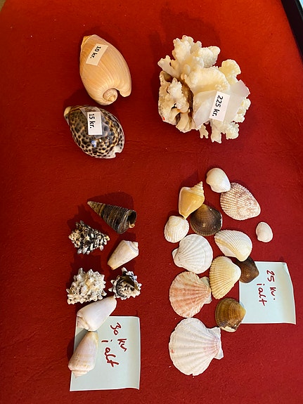 Product image 11 of 11