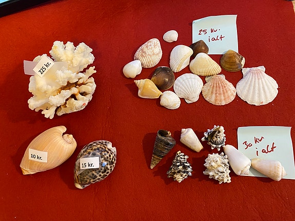 Product image 1 of 10