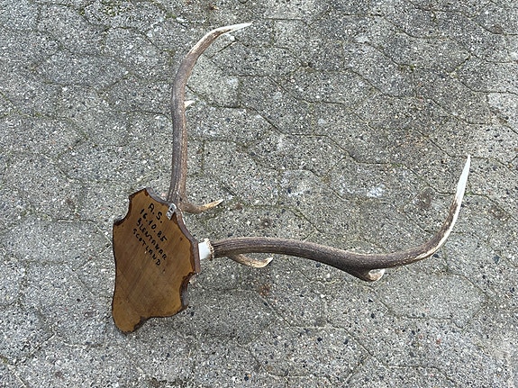 Product image 11 of 16