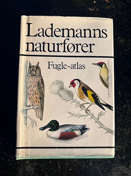 Product image 1 of 9