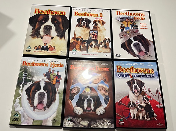 Product image 5 of 10