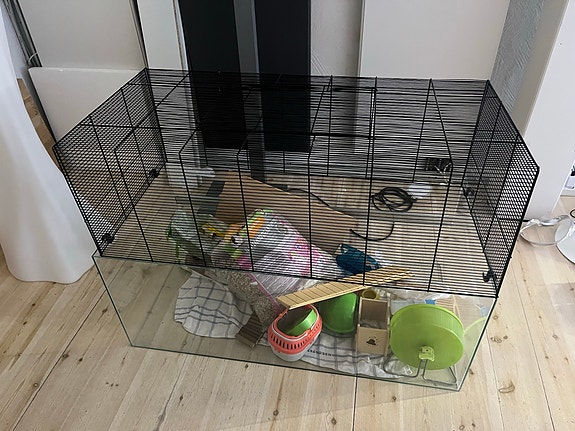 Product image 1 of 3