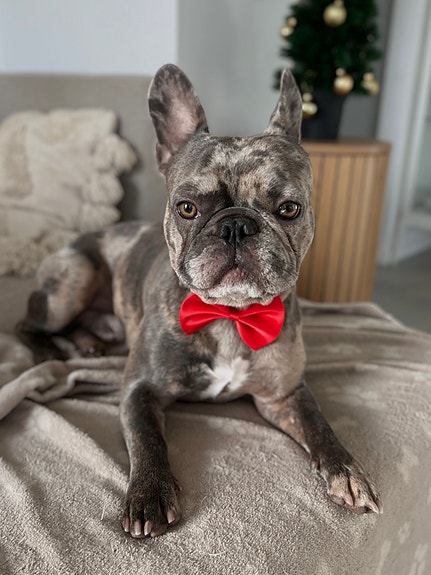 Product image 1 of 6