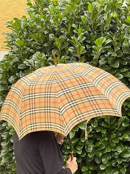 Product image 1 of 10