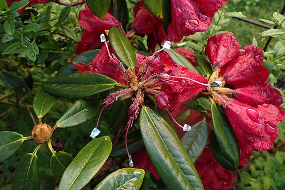 Product image 1 of 10