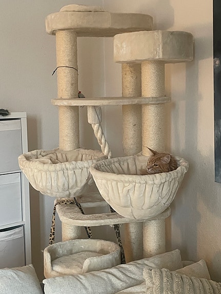 Product image 11 of 15