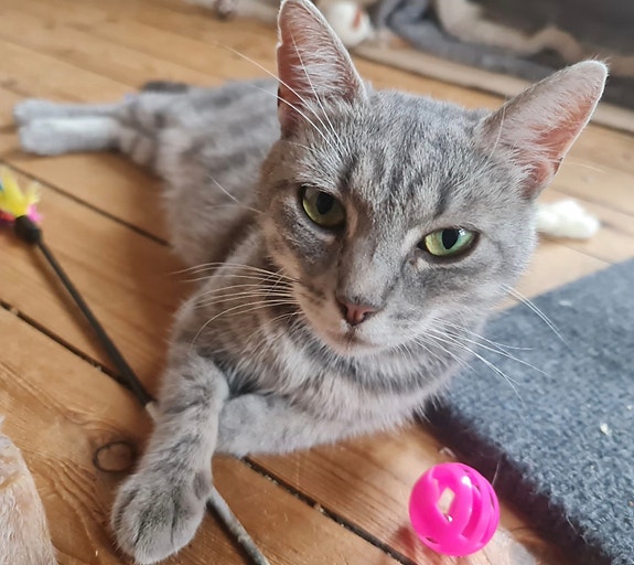 Product image 2 of 4