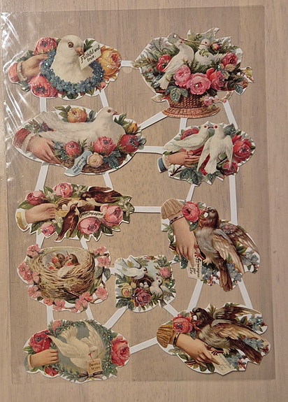 Product image 5 of 10