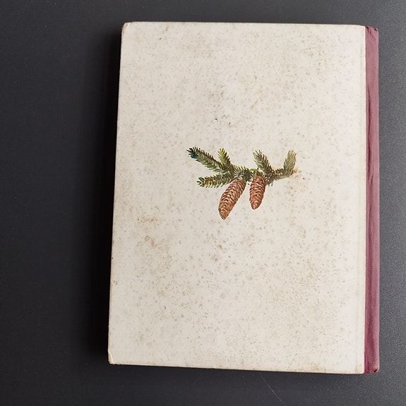 Product image 19 of 19