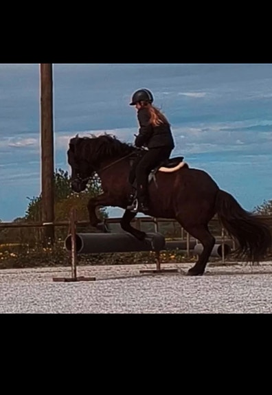 Product image 1 of 10