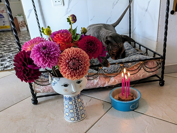 Product image 6 of 7