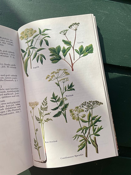Product image 12 of 20