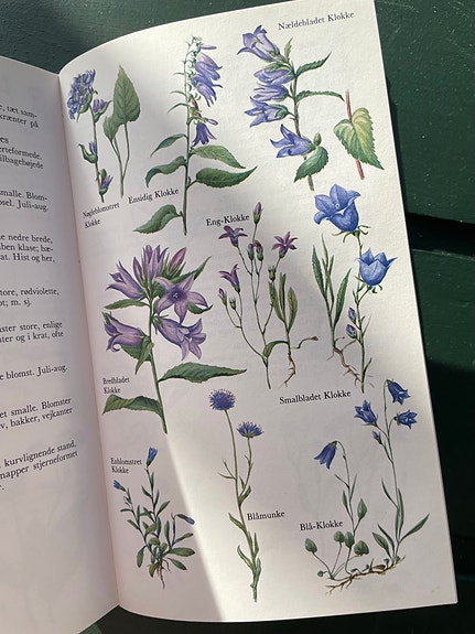 Product image 11 of 20