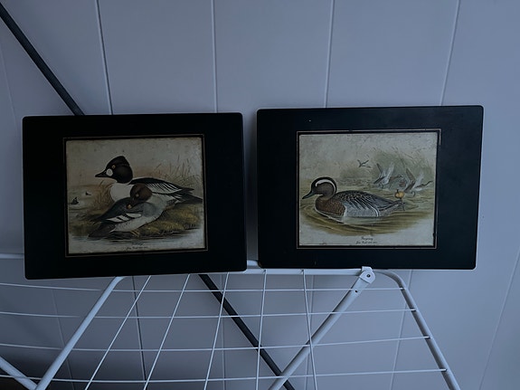 Product image 63 of 72