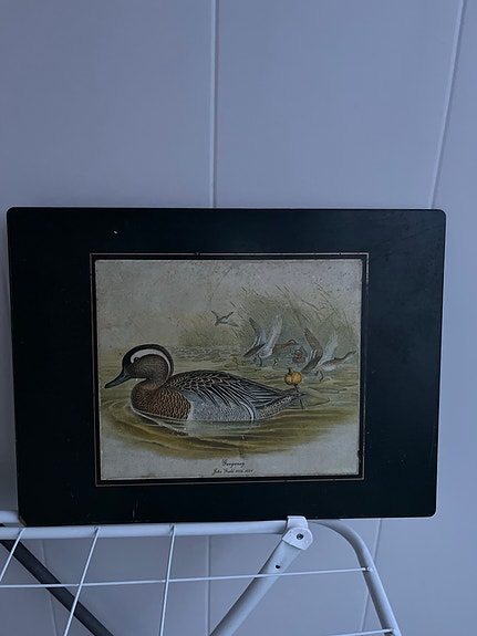 Product image 61 of 72
