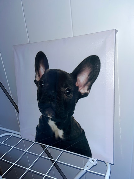 Product image 66 of 72