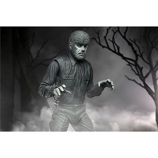Product image 12 of 21