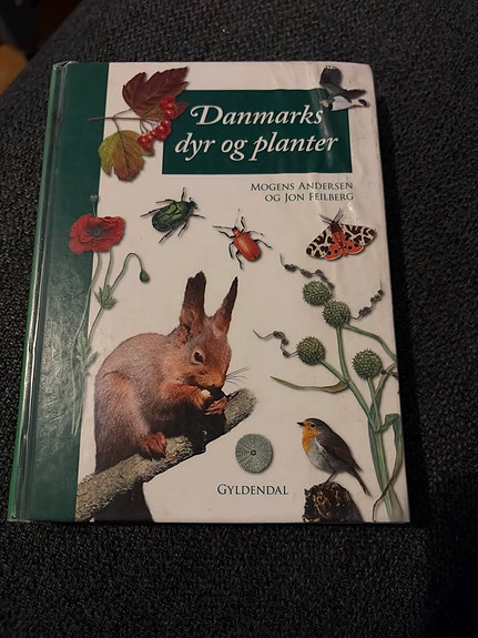 Product image 1 of 5