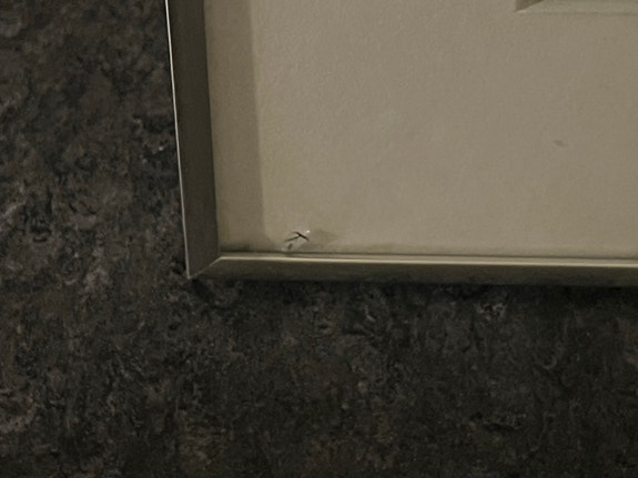 Product image 5 of 11