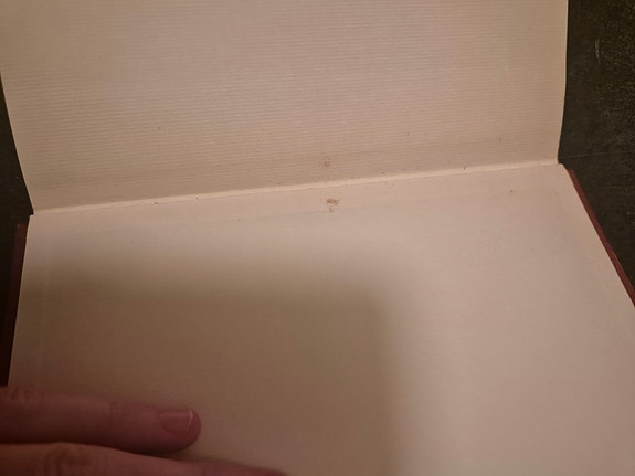 Product image 12 of 13