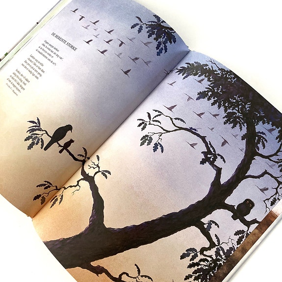 Product image 12 of 13