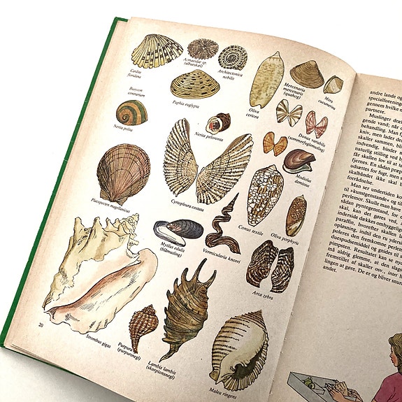 Product image 11 of 24