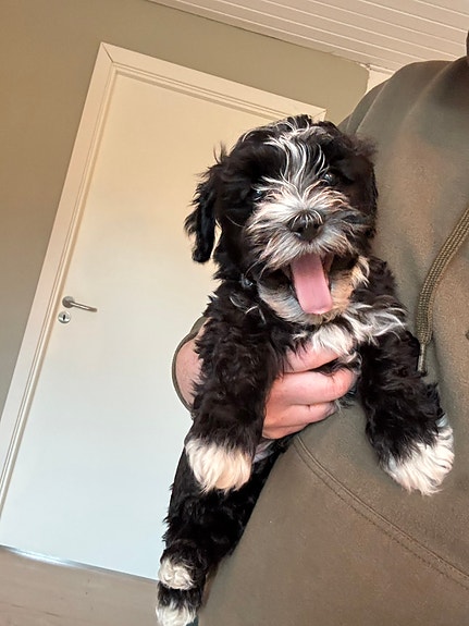 Product image 6 of 9