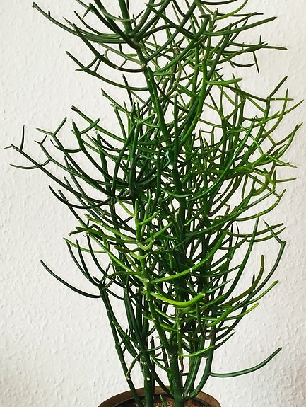 Product image 11 of 11