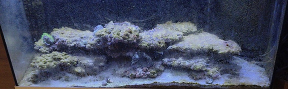 Product image 1 of 7