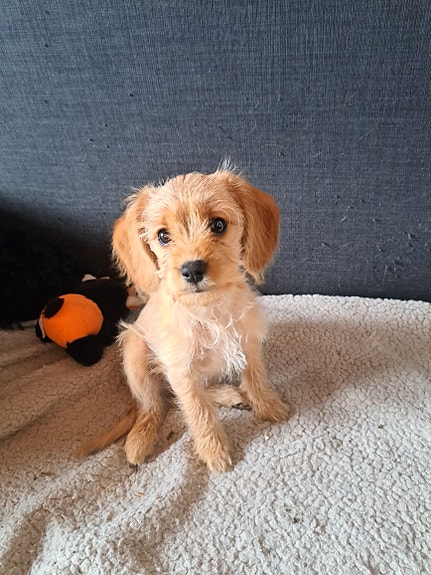 Product image 1 of 4