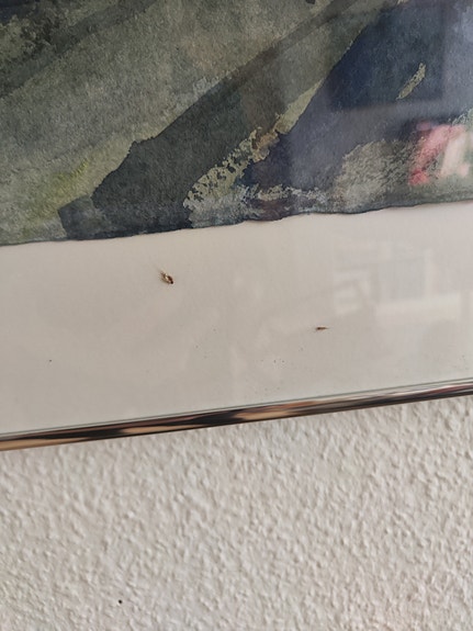 Product image 11 of 14