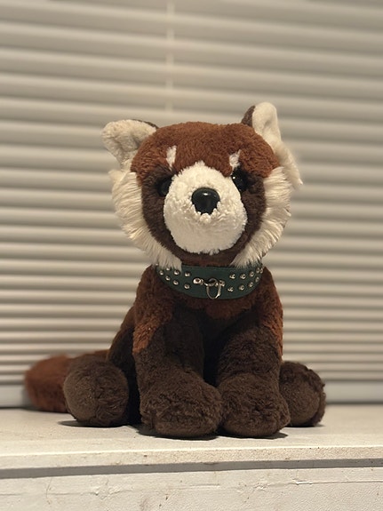 Product image 20 of 38