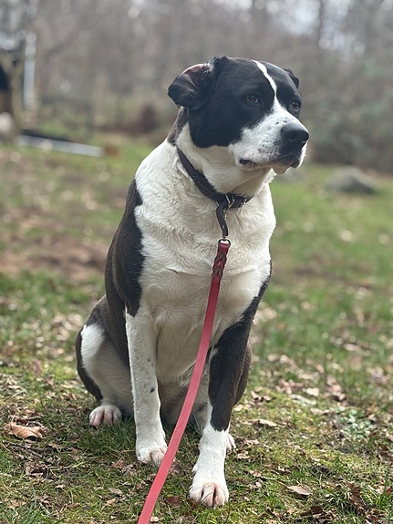 Product image 35 of 38
