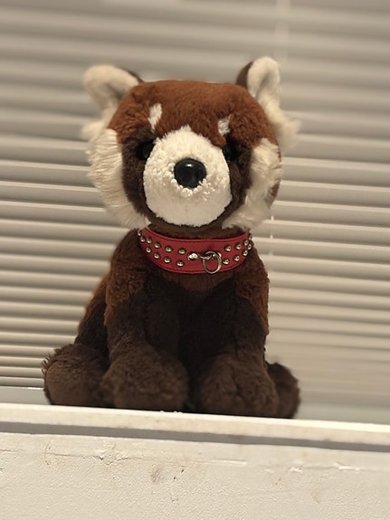 Product image 21 of 38