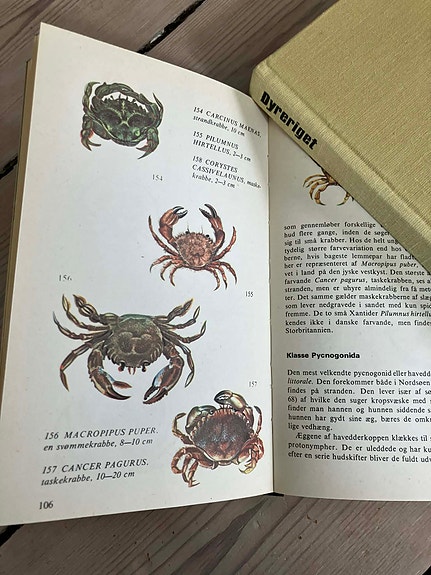 Product image 12 of 13