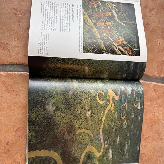 Product image 11 of 18