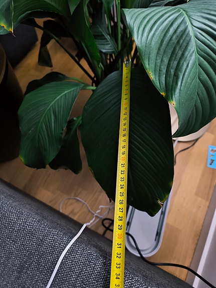 Product image 11 of 11