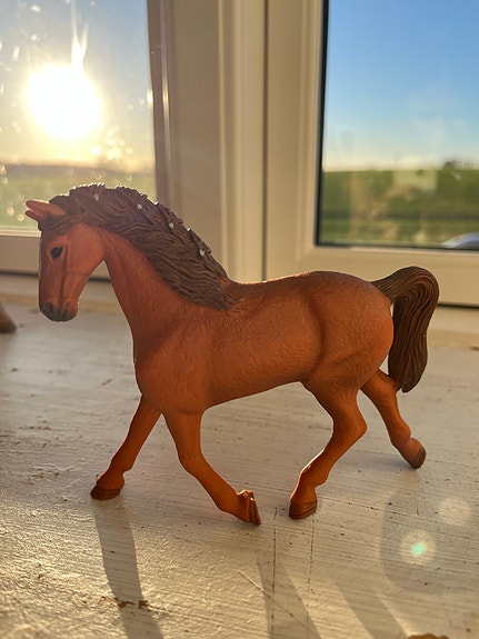 Product image 1 of 10