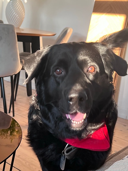 Product image 1 of 10