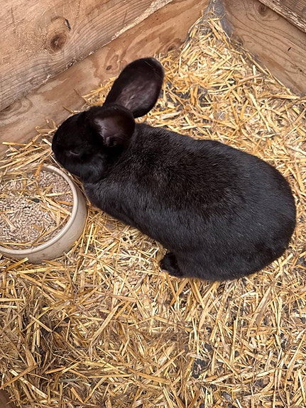 Product image 1 of 7