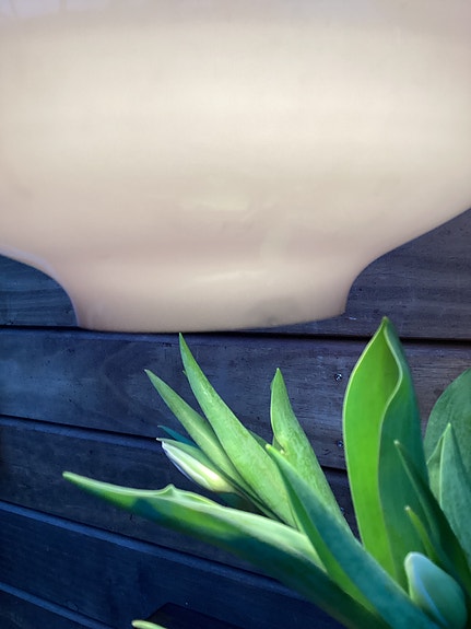 Product image 12 of 12