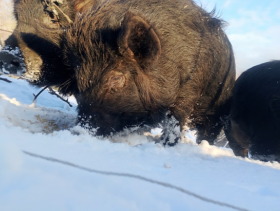 Product image 1 of 7