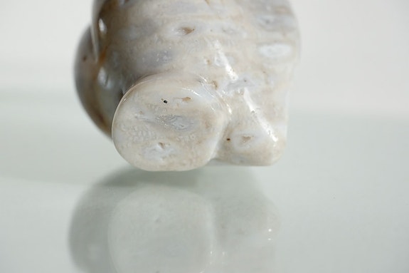 Product image 15 of 17